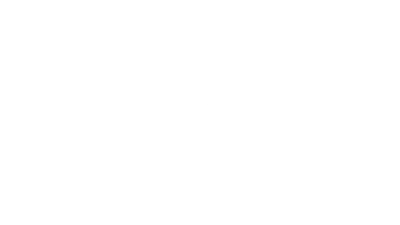 wert5 Logo